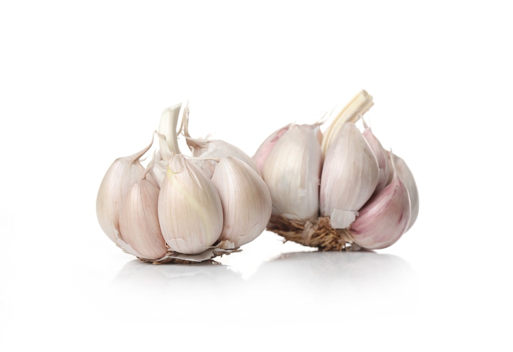 dientes de ajo dientes de ajo para hacer alioli